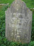 image of grave number 98941